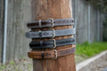 Leather Look Belt